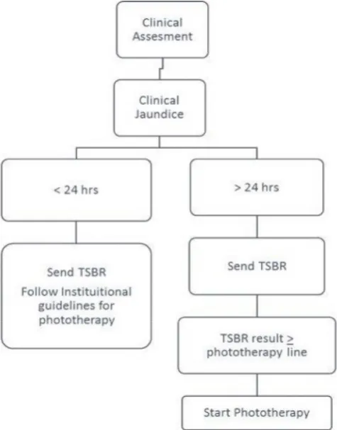 Figure 2 TcBR nomogram.  (TcBR transcutaneous bilirubin.)