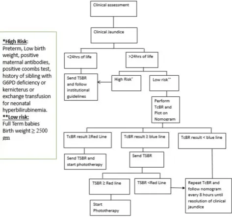 Table 1 Demographic data for the live inborn non-high-risk babies >37 weeks of gestation in both phases of the study