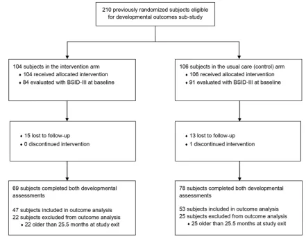 Figure 1 Subject enrolment, randomisation and follow-up. BSID-III, Bayley Scales of Infant Development, Third Edition.