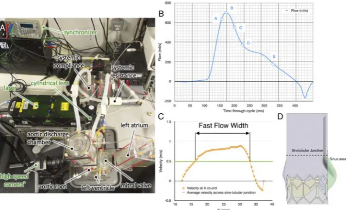 Figure 2 Particle image velocimetry measurement details. (A) Top view of the system setup