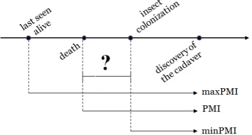 Figure 1. Schematic representation of maximum PMI, PMI and minimum PMI  