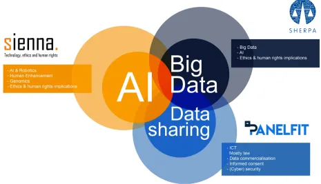 Figure 1: Subject areas of the three projects 