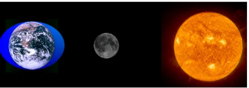 Figure 2 - Spring   tides   occur   when   the   Sun’s   gravitational   pull   adds   to   that   of   the   Moon