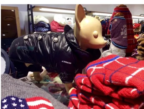 Figure 1. Dog clothing challenges the categorical boundaries of human–animal. Fashionable winter clothing for dogs, Tokyo, Japan, 2014