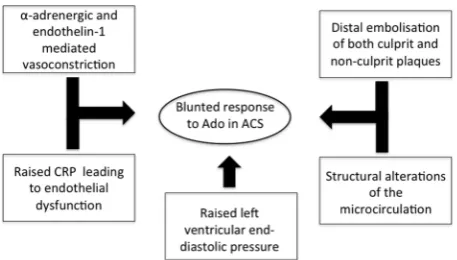 Figure 1 Mechanisms leading to blunted response to Ado and submaximal hyperaemia in patients with ACS
