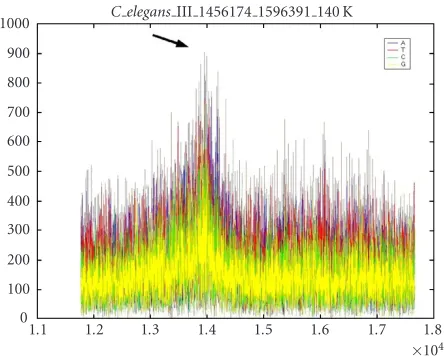 Figure 4: Spectrogram of the chromosome III of C. elegans (13.8 Mbp). The 3-base periodicity relating to protein coding is noted
