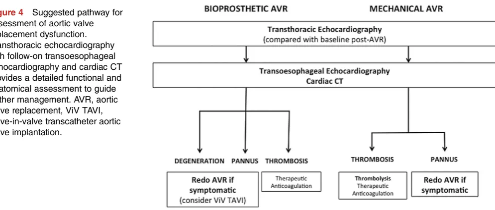 Table 2The complementary role of CT in theassessment of aortic valve replacement dysfunction