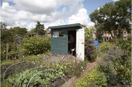 Figure 1: The Ashington Allotments, by Humphrey Spender, 1934.1 