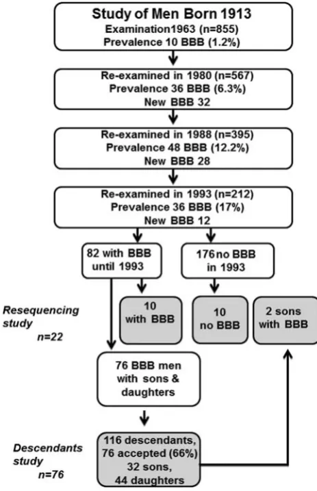 Figure 1Relation between the study populations in theresequencing and the descendants investigations (thedescendants study) (BBB, bundle branch block).