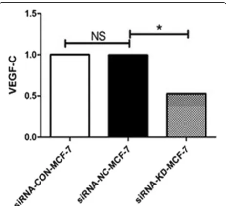 Fig. 1 VEGF-C mRNA expression measured by real-time fluorescentsignificant difference