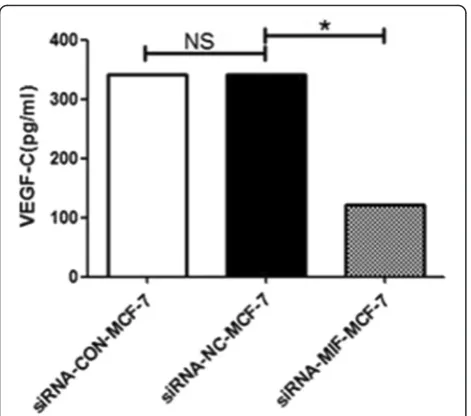Fig. 2 VEGF-C protein level measured by ELISA in the supernatantsof siRNA-MIF-MCF-7 cells, siRNA-NC-MCF-7 cells, and MCF-7 cells.The differences between groups were analyzed by two-tailedStudent’s t test, with *P < 0.05 considered significant
