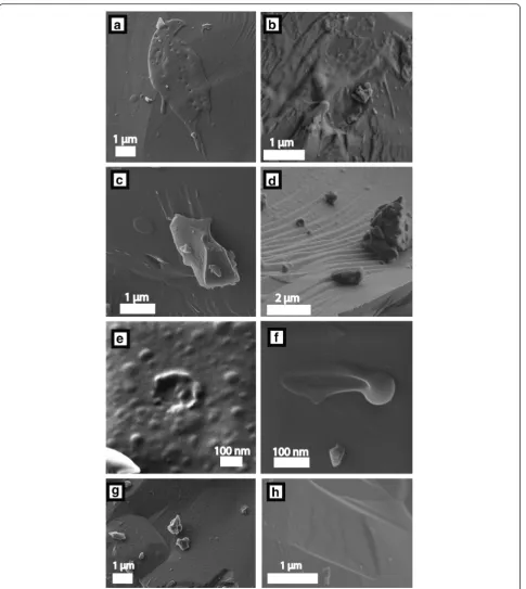 Fig. 2 Scanning helium ion (a, c, e–g) and secondary electron (b, d, h) microscope images of different features identified on the surfaces of bothItokawa particles such as splash melts (a, b, f), abrasion features (c), and blistered and unblistered surfaces (d, e, g, h)
