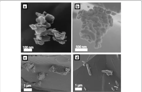 Fig. 3 Scanning helium ion (length), or elongated, euhedral crystals (up to 1.9a, d) and secondary electron (b, c) microscope images of adhering particles, which are either irregular, fluffy (up to 1.3 μm in μm in length)