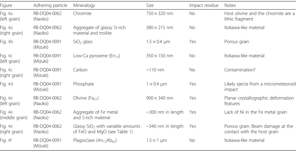 Table 2 Summary of mineralogic properties of the adhering grains