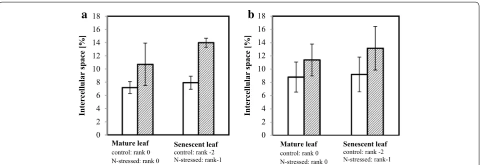 Fig. 5 Percentage of intercellular space in mesophyll of Aviso (a) and Express (b) leaves from plants grown in control (white) and N deficiency conditions (hatched)