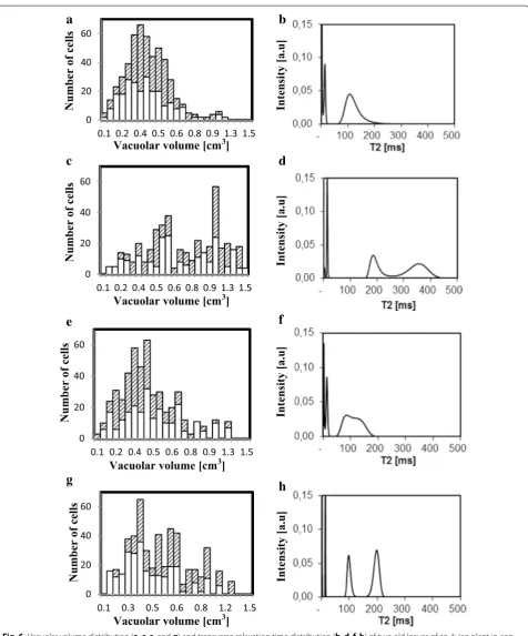 Fig. 6 Vacuolar volume distribution (a, c, e, and g) and transverse relaxation time distribution (b, d, f, h) of two old leaves of an Aviso plant in con‑trol (a–d) and N deficiency conditions (e–h)