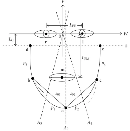 Figure 1: Parametric 2D model of chin and cheek contours con-middle points, andsisting of four parabola pieces P1, P2, P3, and P4