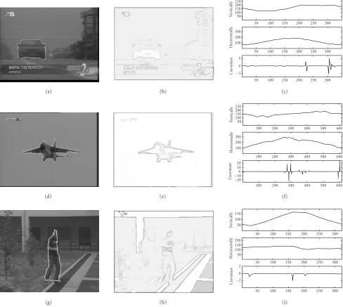 Figure 8: Curvature and external energy terms: (a), (d), (g) diﬀerent cases of curves and background complexity, (b), (e), (h) respectiveexternal energies visualization, and (c), (f), (i) respective curvature distributions.