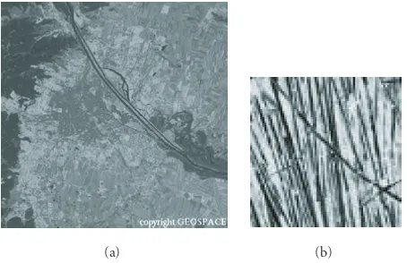 Figure 1: (a) Remote sensing image and (b) nature image.