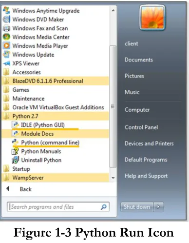 Figure 1-3 Python Run Icon 