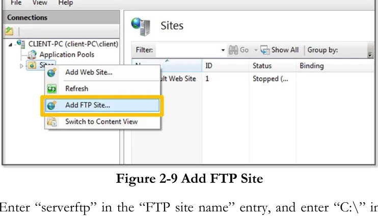 Figure 2-10 Entering the FTP Site Info 