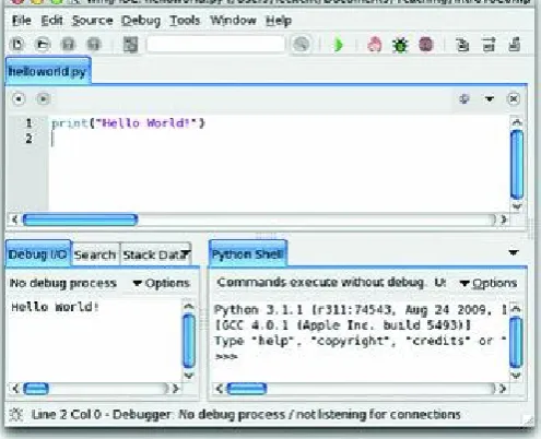 Fig. 1.8  The Wing IDE