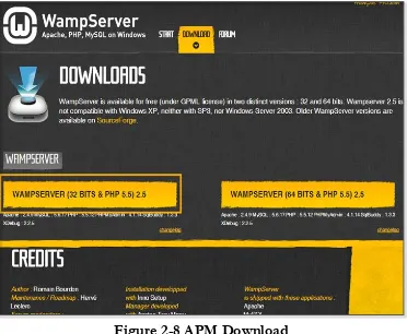 Figure 2-8 APM Download 