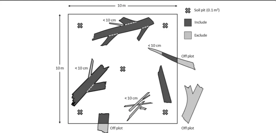 Fig. 1 Layout of the sampling method being undertaken in a 100-m2 oak forest plot (adapted from Spetich 2007)
