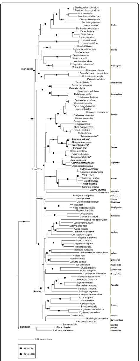 Fig. 2 Neighbor Joining phylogenetic tree of the seed plant speciesrecorded in the 36 plots based on ITS-5.8S DNA sequences