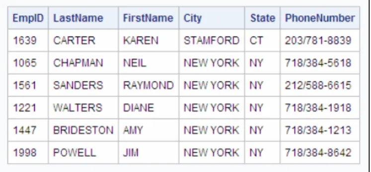Table 2.1 SAS Log 202 proc sql feedback; 203 select *