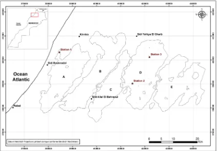 Fig. 1. Study sites (★) and location of sampling traps in Maâmora forest with different cantons (A, B, C, D and E) using the coordinates in the Merchich geographical reference system.