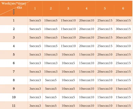 TABLE 1: CORE STABILITY TRAINING PROGRAME 