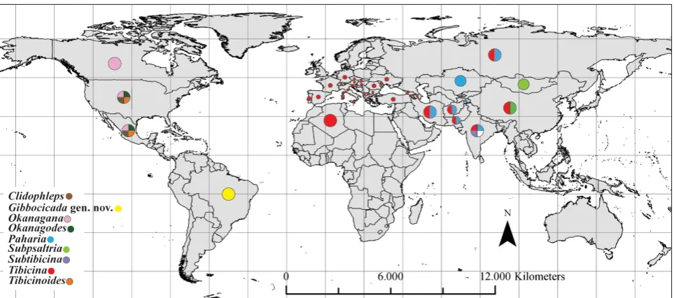 Fig 1. Distribution of genera of Tibicinini in the Holartic, Oriental and Neotropical Regions based on METCALFS (1963), DUFFELS & VAN DER LAAN (1985), ANBORN (2013) and this paper.