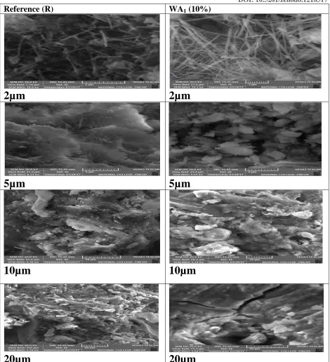 Figure 4: SEM analysis for mortar cube after 28 days curing 