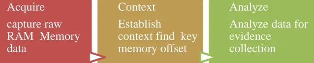 Figure 1: Acquisition and Analysis of Memory 