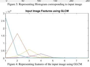 Figure 2: Representing sample image under observation   