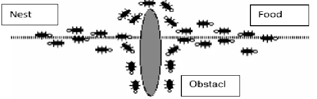 Figure 10: The ants facing an obstacle 