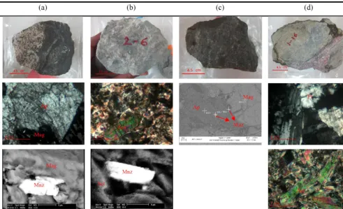 Figure 7. Some examples for samples which have been classiﬁed in four types along with their microscopic images