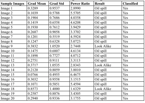 Table 3: 20 SAR images used for training 