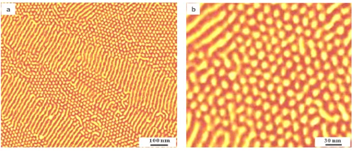Fig. 1: Lower (left) and higher (right) tapping mode AFM phase image of SBS triblock copolymer used in this work