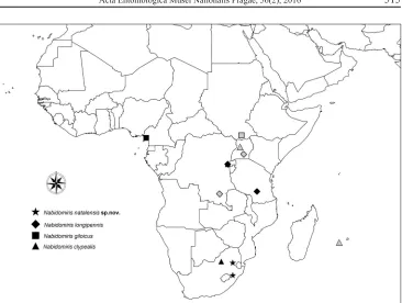 Fig. 21. Distribution map for species of Nabidomiris. Black symbols represent data from specimens examined; grey symbols represent data taken from the literature.