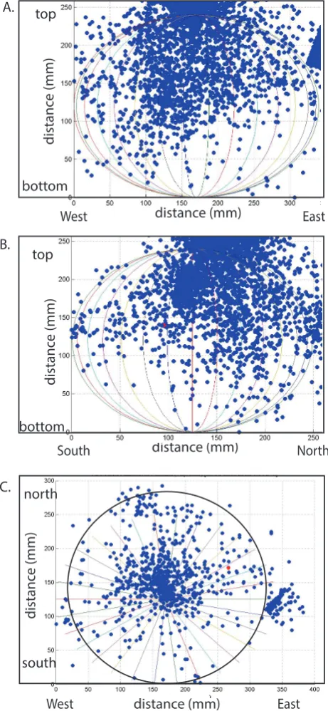 Fig. 6. Graphical representation of the location of events as calcu-lated by AEwin software for (A) a west to east side view of the testspecimen, (B) a south to north side view of the test specimen and(C) a top-down view of the test specimen