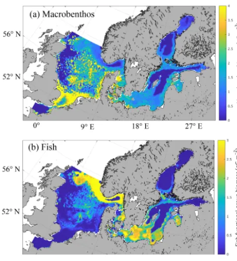 Figure 3. Simulated spatial pattern of annual mean biomass of mac-robenthos (a) and ﬁsh (b) (g C m−2).