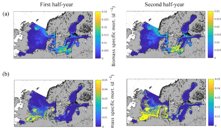 Figure 9. Semi-annually averaged (1980–1989) biomass-speciﬁc mortality (d−1) of zooplankton due to (a) ﬁsh predation and (b) macroben-thos predation.