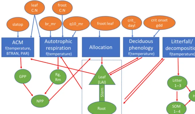 Figure 1. Schematic of sELM, with processes shown using blue boxes with dependencies on environmental data; eight uncertain parameterinputs are listed in orange ovals, and model state variables are indicated by green shapes