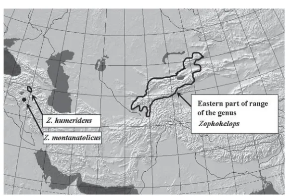 Fig. 1. Distribution of the genus Zophohelops Reitter, 1902