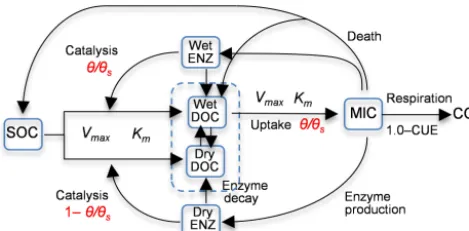 Figure 1. Diagram of model 6C representing the processes of(1) degradation of soil organic carbon (SOC) to dissolved organic
