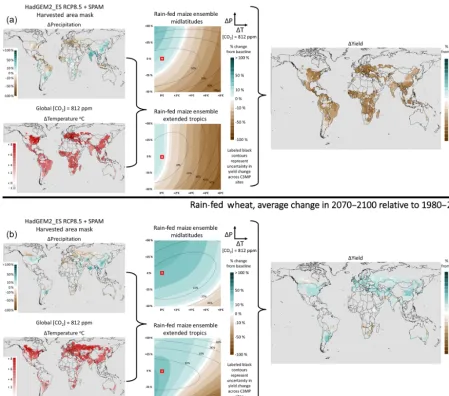 Figure 10. Tracing the path from gridded local growing season temperature and precipitation changes and global COtion under HadGEM2-ES RCP8.5 for 2071–2100 compared to 1980–2009, through the relevant yield response functions (represented here asimpact resp