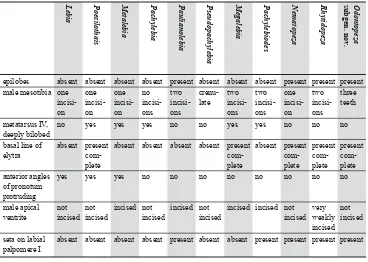 Table 2. Summary of characters states of selected (sub)genera of Lebia. 