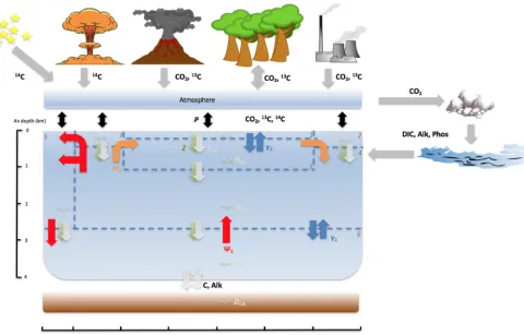 Figure 1. SCP-M: conﬁgured as a seven-box ocean model plus atmosphere with marine sediments, continents and the terrestrial biosphere.The exchange of elemental concentrations, e.g